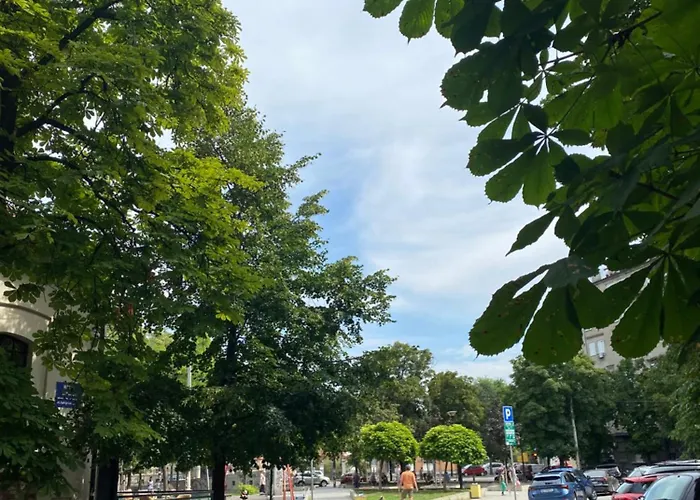 7 Emperors * ベオグラード