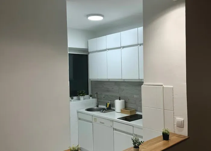 7 Emperors * ベオグラード